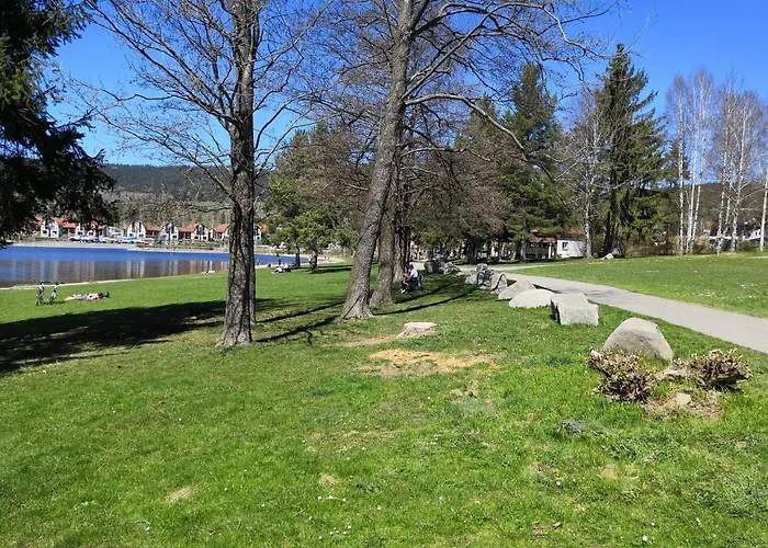 Lipno S Výhledem Na Jezero