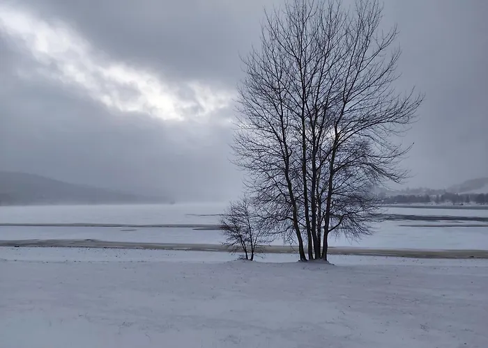 Lipno S Výhledem Na Jezero